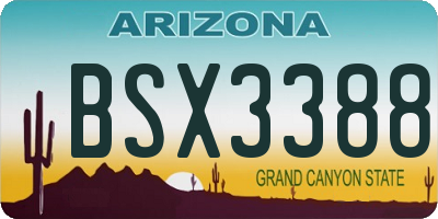 AZ license plate BSX3388