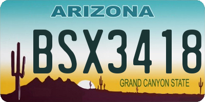 AZ license plate BSX3418