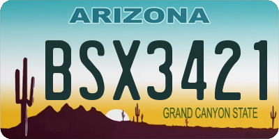 AZ license plate BSX3421