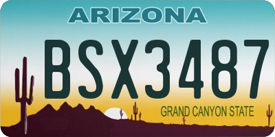 AZ license plate BSX3487