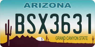 AZ license plate BSX3631