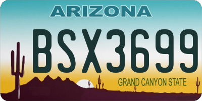 AZ license plate BSX3699