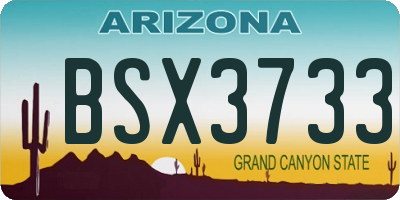 AZ license plate BSX3733