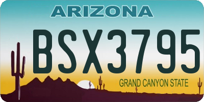 AZ license plate BSX3795