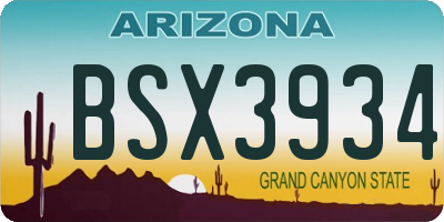 AZ license plate BSX3934