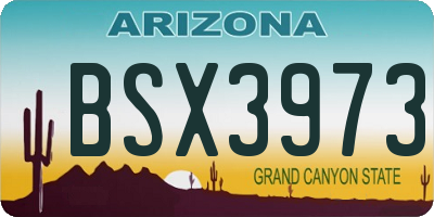 AZ license plate BSX3973