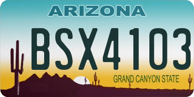 AZ license plate BSX4103