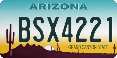 AZ license plate BSX4221