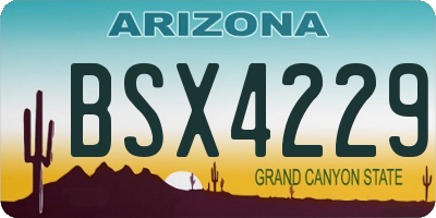 AZ license plate BSX4229