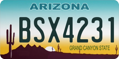 AZ license plate BSX4231