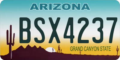 AZ license plate BSX4237