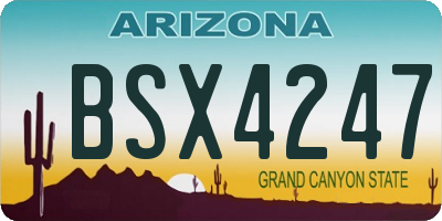 AZ license plate BSX4247