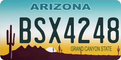 AZ license plate BSX4248