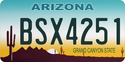 AZ license plate BSX4251