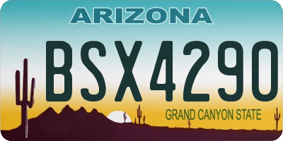 AZ license plate BSX4290