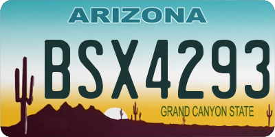 AZ license plate BSX4293