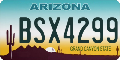 AZ license plate BSX4299