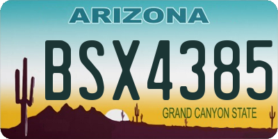 AZ license plate BSX4385