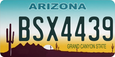 AZ license plate BSX4439