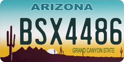 AZ license plate BSX4486