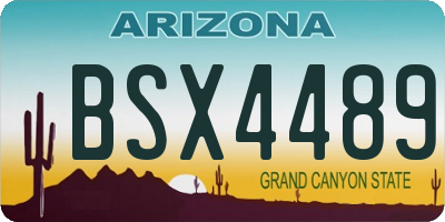 AZ license plate BSX4489