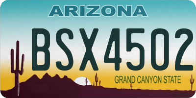AZ license plate BSX4502