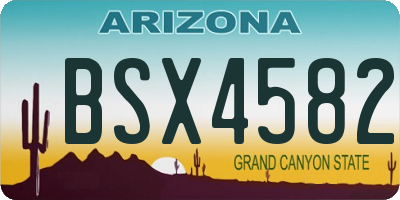 AZ license plate BSX4582