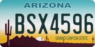 AZ license plate BSX4596