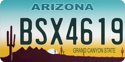 AZ license plate BSX4619