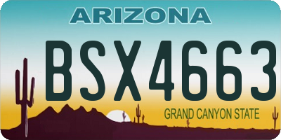 AZ license plate BSX4663