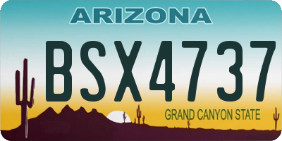 AZ license plate BSX4737