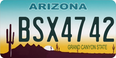 AZ license plate BSX4742