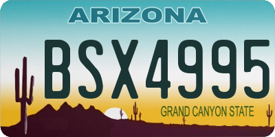 AZ license plate BSX4995