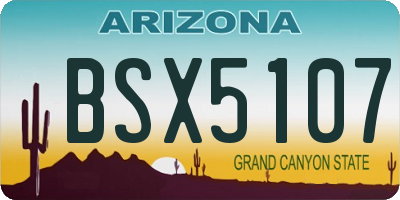 AZ license plate BSX5107