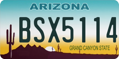 AZ license plate BSX5114