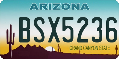 AZ license plate BSX5236