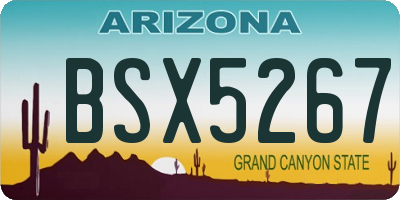 AZ license plate BSX5267