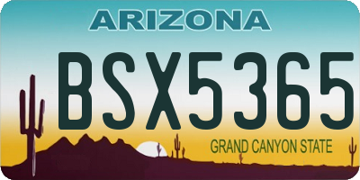 AZ license plate BSX5365