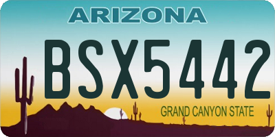 AZ license plate BSX5442