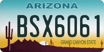 AZ license plate BSX6061