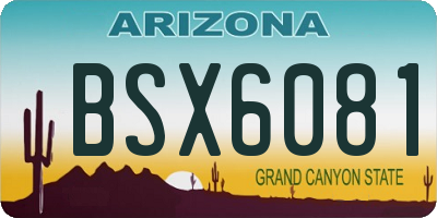 AZ license plate BSX6081