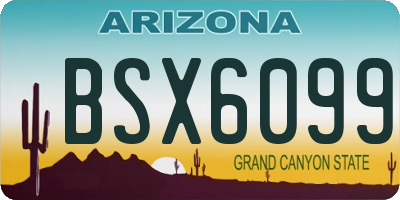 AZ license plate BSX6099