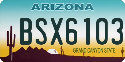 AZ license plate BSX6103