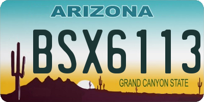 AZ license plate BSX6113