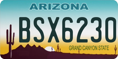 AZ license plate BSX6230