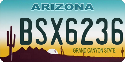 AZ license plate BSX6236