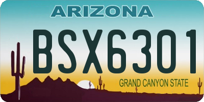 AZ license plate BSX6301