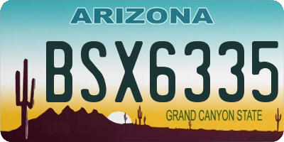 AZ license plate BSX6335