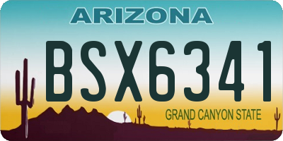 AZ license plate BSX6341