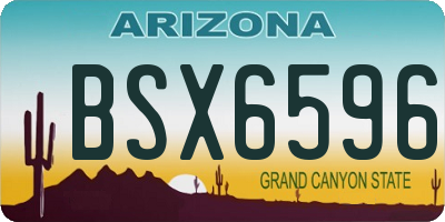 AZ license plate BSX6596